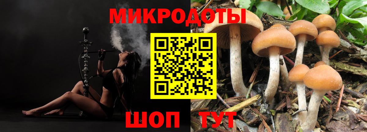 магазин продажи наркотиков  Вход с VPN  Галлюциногенные грибы MAGIC MUSHROOMS  Унеча  Псилоцибиновые грибы Cubensis 